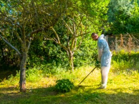Pasco Green Power: Your Shortcut to a Well-Maintained Lawn